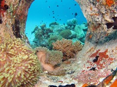 Summer Island Maldives Resort - photo 194