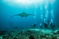 Summer Island Maldives Resort - photo 227