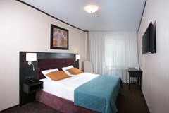 Altay Palace : Стандарт 2-местный - photo 32
