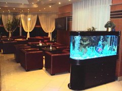 Dyrrah: Bar - photo 8