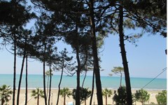 Bel Conti: General view - photo 37