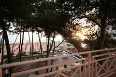 Bel Conti: Terrace - photo 10