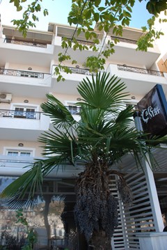 Mano: General view - photo 15