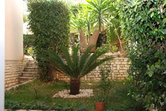 Mano: Terrace - photo 2