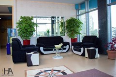 Hotel Aliko: Lobby - photo 6