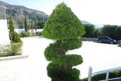 HH Boutique Hotel: General view - photo 8