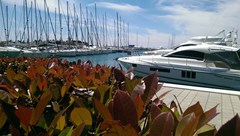 Nautica: General view - photo 2