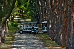 Brijuni Hotel Istra: Sports and Entertainment - photo 20