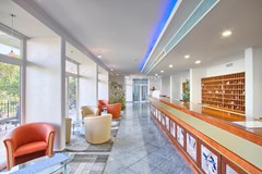 Hotel Mimosa-Lido Palace: Lobby - photo 2