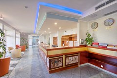 Hotel Mimosa-Lido Palace: Lobby - photo 26