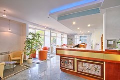 Hotel Mimosa-Lido Palace: Lobby - photo 30