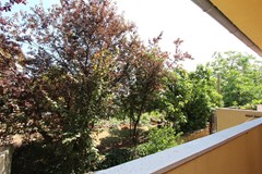 Apartment Lora: Room - photo 26