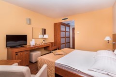 Hotel Sol Umag for Plava Laguna: Room DOUBLE ECONOMY - photo 91