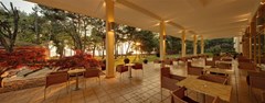 Hotel Sol Aurora for Plava Laguna: General view - photo 73