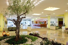 Hotel Sol Aurora for Plava Laguna: Lobby - photo 9