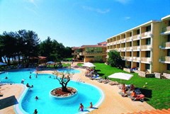 Hotel Sol Aurora for Plava Laguna: Pool - photo 6