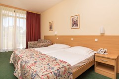 Hotel Sol Aurora for Plava Laguna: Room - photo 79