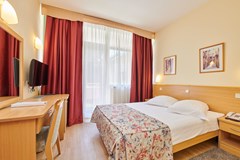 Hotel Sol Aurora for Plava Laguna: Room SINGLE STANDARD - photo 98