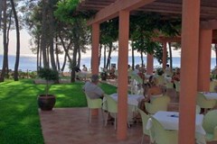 Hotel Sol Aurora for Plava Laguna: Terrace - photo 23