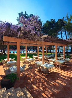 Hotel Sol Aurora for Plava Laguna: Terrace - photo 30