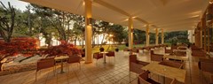 Hotel Sol Aurora for Plava Laguna: Terrace - photo 37