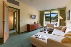 Hotel Sol Aurora for Plava Laguna: Room - photo 46