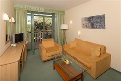Hotel Sol Aurora for Plava Laguna: Room - photo 63