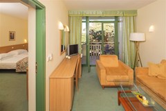 Hotel Sol Aurora for Plava Laguna: Room - photo 70