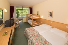 Hotel Sol Aurora for Plava Laguna: Room - photo 76