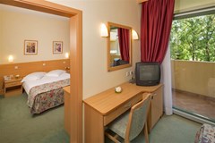Hotel Sol Aurora for Plava Laguna: Room - photo 82