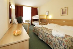 Hotel Sol Aurora for Plava Laguna: Room - photo 84