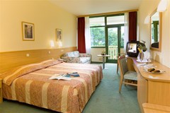 Hotel Sol Aurora for Plava Laguna: Room - photo 85