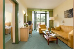 Hotel Sol Aurora for Plava Laguna: Room - photo 87