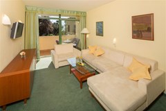 Hotel Sol Aurora for Plava Laguna: Room - photo 89