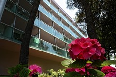 Hotel Aurora: General view - photo 10