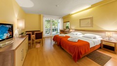 Hotel Aurora: Room TWIN PREMIUM - photo 67