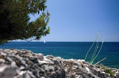 Hotel Aurora: Beach - photo 1
