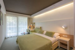 Family Hotel Vespera: Room DOUBLE PARK VIEW - photo 68