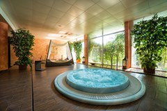 Amadria Park Grand Hotel 4 Opatijska Cvijeta: Pool - photo 69