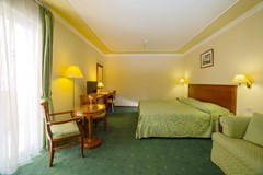 Amadria Park Grand Hotel 4 Opatijska Cvijeta: Room - photo 138