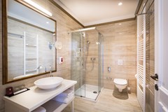 Remisens Premium Grand Hotel Palace: Room SINGLE STANDARD - photo 216
