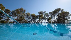 Bluesun hotel Berulia: Pool - photo 147