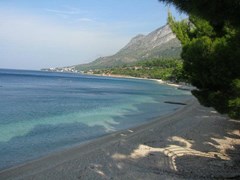 Laguna: Beach - photo 90
