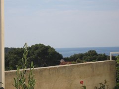 Violeta Hvar: General view - photo 16