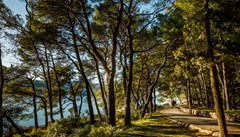 Helios Sunny Apartments by Valamar: General view - photo 4