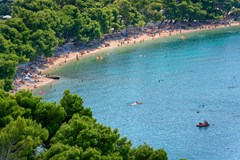 Dalmacija Sunny Hotel by Valamar: Beach - photo 5