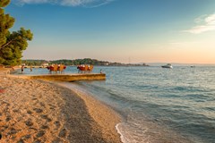 Dalmacija Sunny Hotel by Valamar: Beach - photo 14