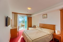 Villa Dvor: Room DOUBLE SINGLE USE EXECUTIVE - photo 75