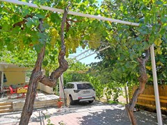 Apartments Dama (ex Danica): General view - photo 13