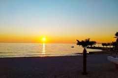 Villa Pinocchio: Beach - photo 12